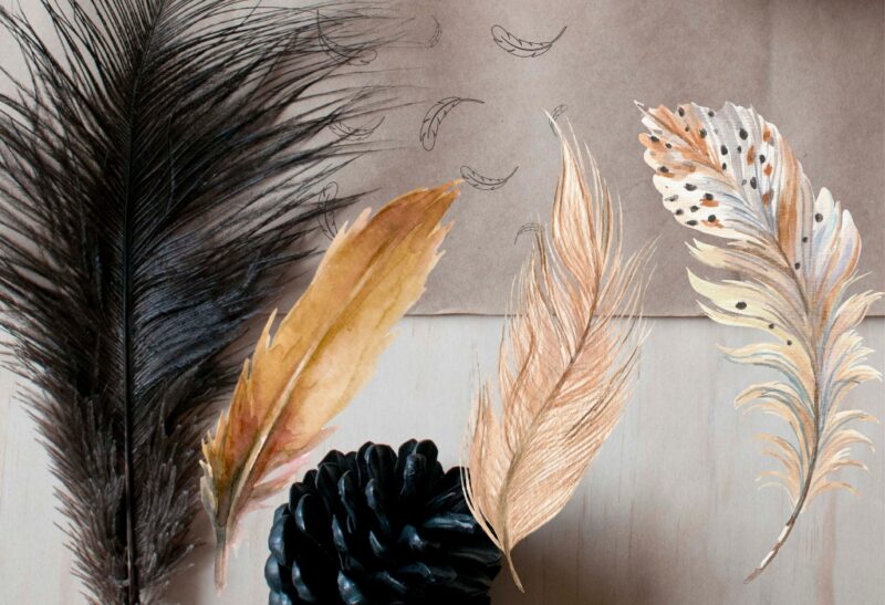 How To Clean Feathers For Crafts? Top Techniques